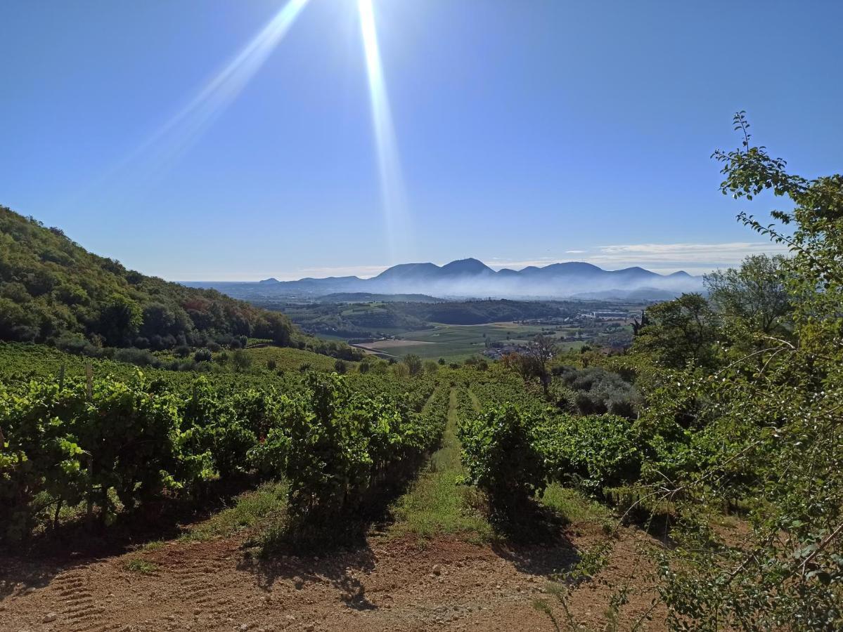 Alloggio La Perla, Quiete Ed Eleganza Con Vista Barbarano Vicentino Dış mekan fotoğraf