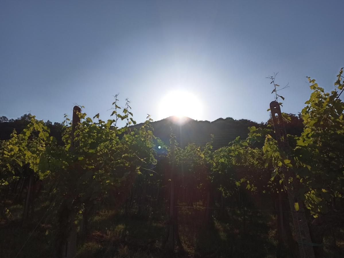 Alloggio La Perla, Quiete Ed Eleganza Con Vista Barbarano Vicentino Dış mekan fotoğraf