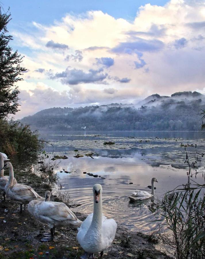 Alloggio La Perla, Quiete Ed Eleganza Con Vista Barbarano Vicentino Dış mekan fotoğraf