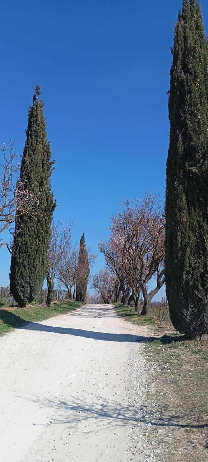 Alloggio La Perla, Quiete Ed Eleganza Con Vista Barbarano Vicentino Dış mekan fotoğraf